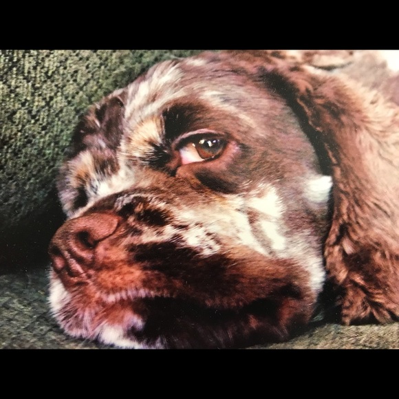 Meet your Posher, Tina - Picture 3 of 3